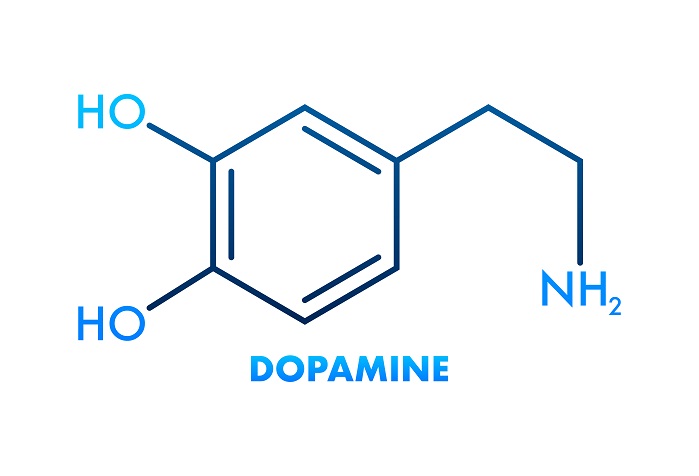 Dopamin Das Verliebtheits-Hormon