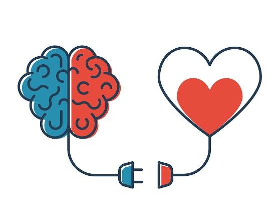 Liebeskummer und das Gehirn
